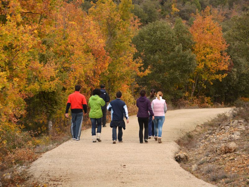 Discuss an Easement with My Family