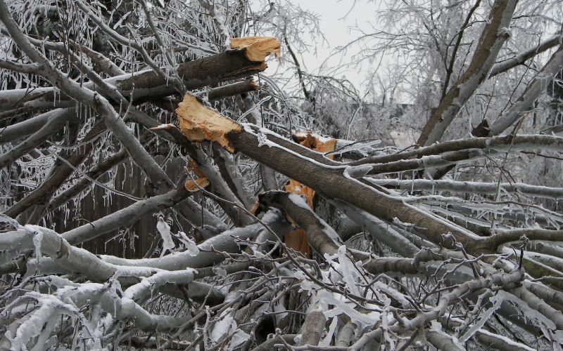 Fire & Storm Damage