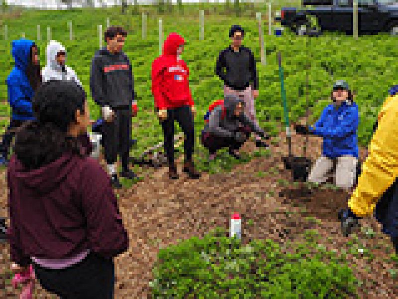 More Trees for the Trib at Hilltop Hanover Farm