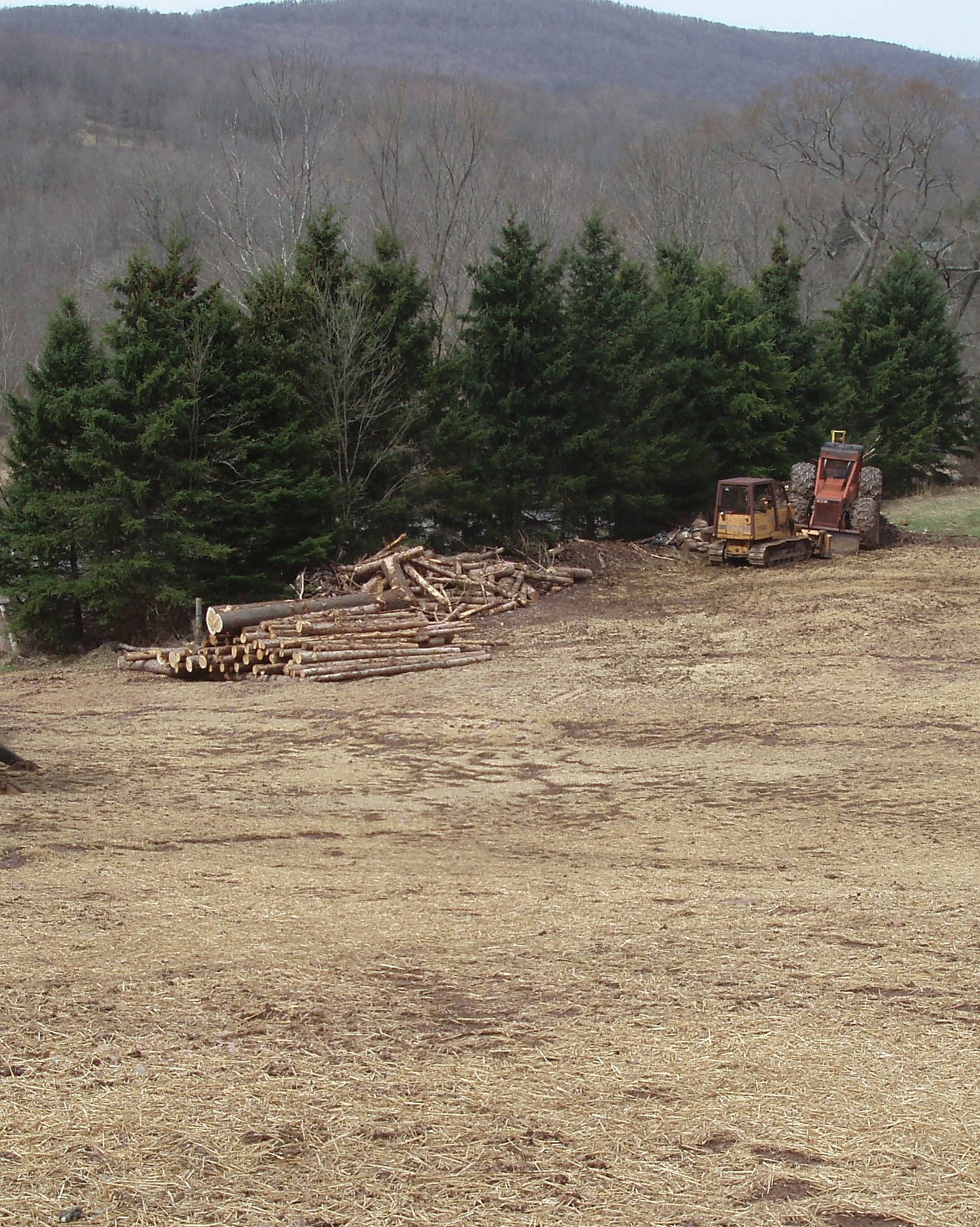 Create a Visual Buffer During a Timber Harvest