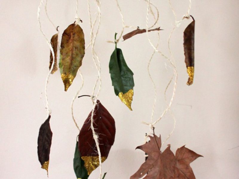 Nature Mobiles