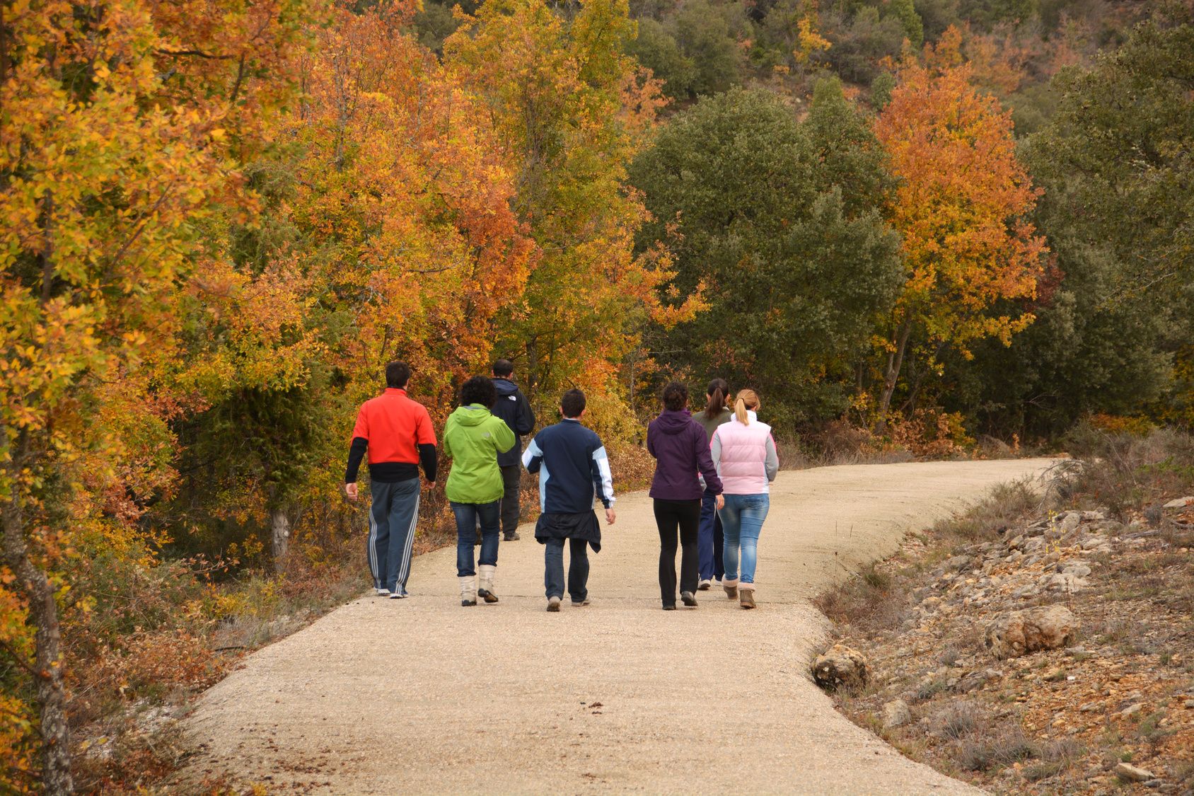 Discuss an Easement with My Family