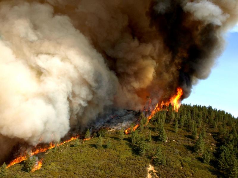 Learn About Wildfires