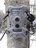 Installing Trail Cameras for the First Time