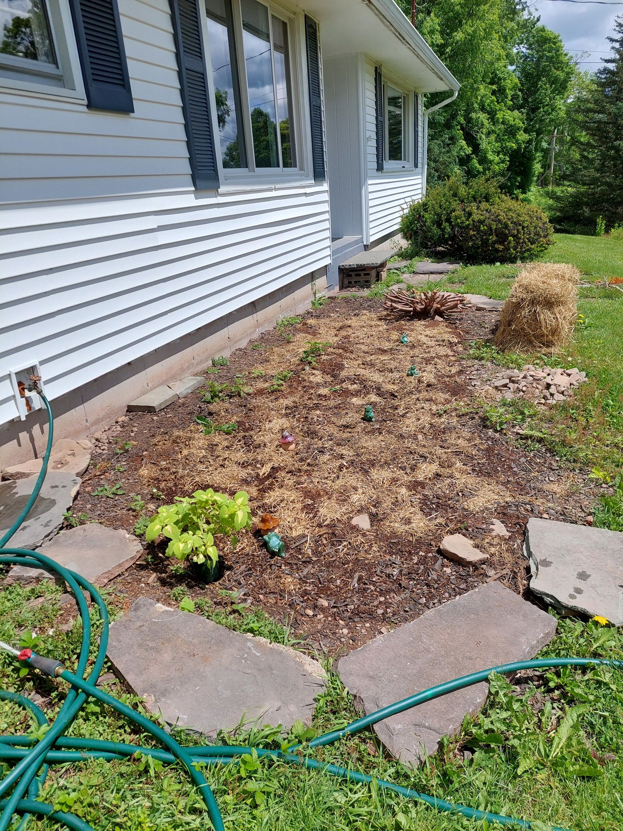 Plan My Rain Garden