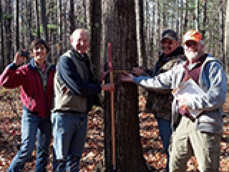 Guest Voice: The Northeast Timber Growing Contest Helps Landowners Grow Bigger Healthier Trees