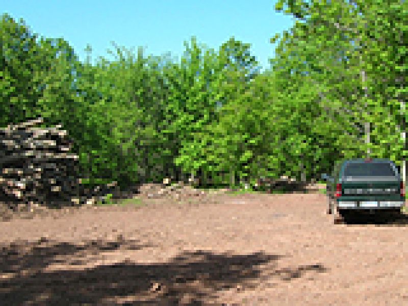 How to Convert Your Old Log Landing into a Wildlife Food Plot