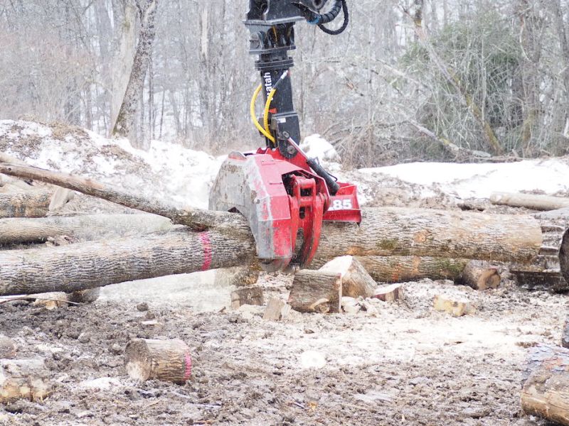 Cut-To-Length Logging on a Catskills Woodlot