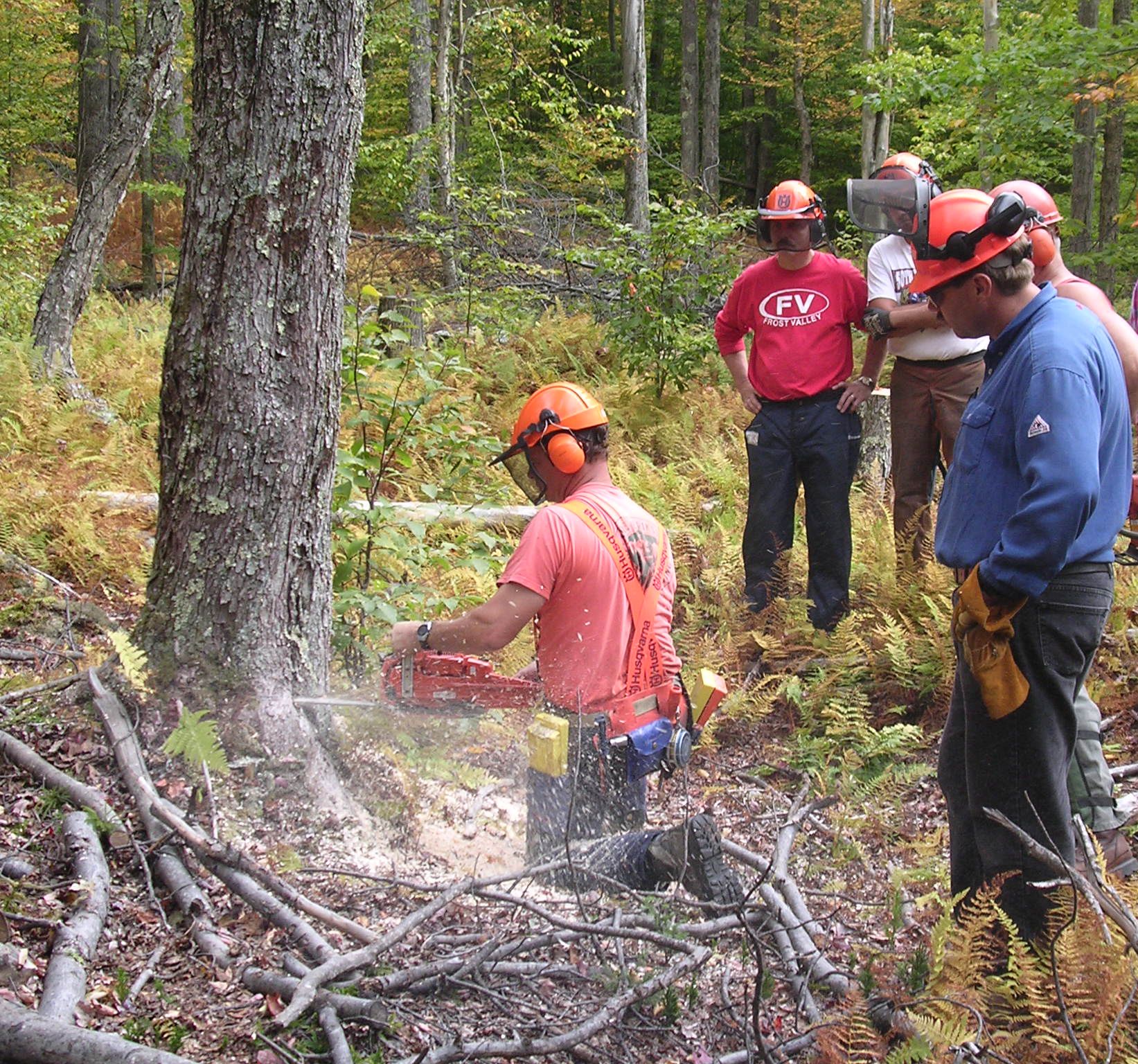 Learn About Chainsaw Safety