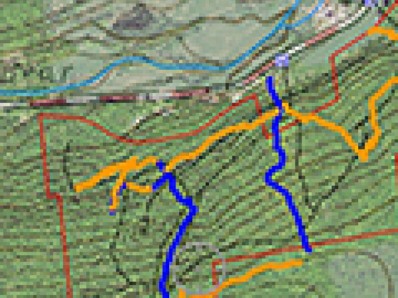 Mapping My Woodlot with my Smartphone