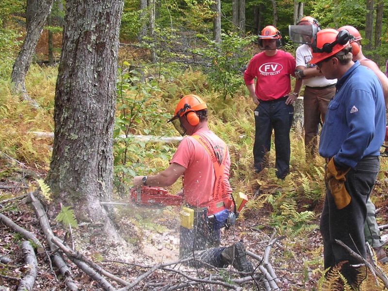 Learn About Chainsaw Safety