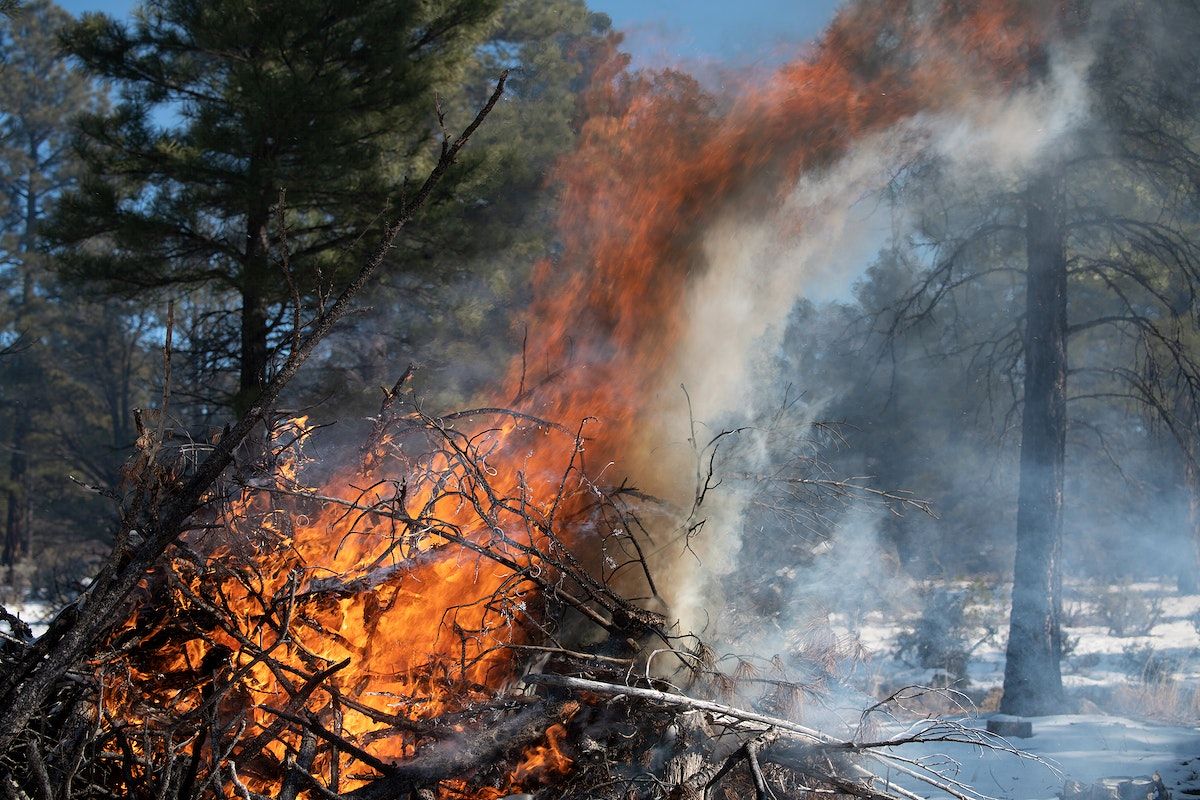 Be “Firewise” about Wildfire Safety and Prevention