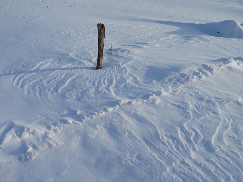 Wind-Sculpted Snow